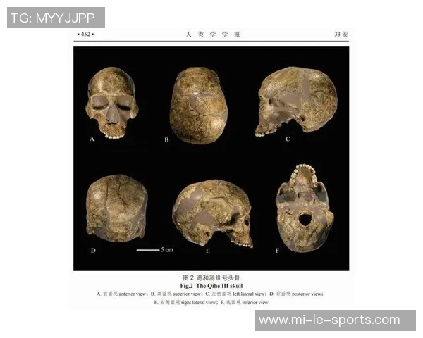 足球历史与文化的深度探讨及其对全球体育的影响分析